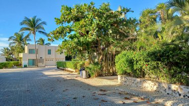 Meksika 'daki Playa del Carmen' in Playacar bölgesindeki boş caddenin manzarası.