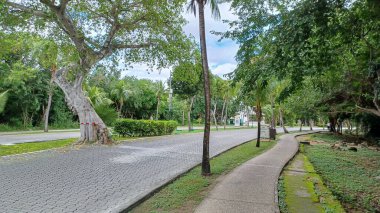 Meksika 'daki Playa del Carmen' in Playacar bölgesindeki boş caddenin manzarası.