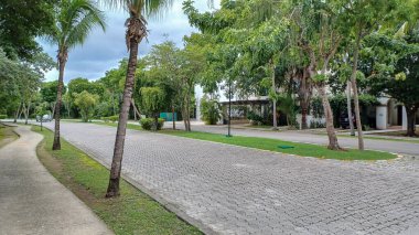 Meksika 'daki Playa del Carmen' in Playacar bölgesindeki boş caddenin manzarası.