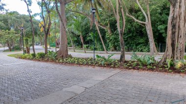 Meksika 'daki Playa del Carmen' in Playacar bölgesindeki boş caddenin manzarası.