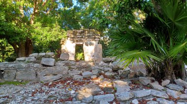 Playa del Carmen 'deki Maya harabelerine bakın.
