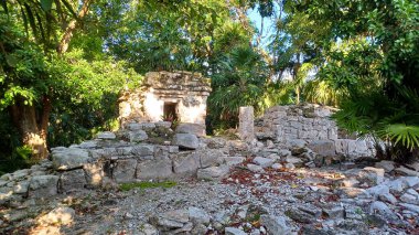 Playa del Carmen 'deki Maya harabelerine bakın.