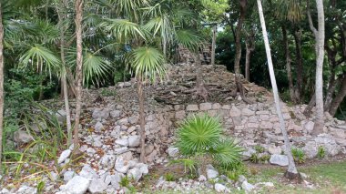 Playa del Carmen 'deki Maya harabelerine bakın.