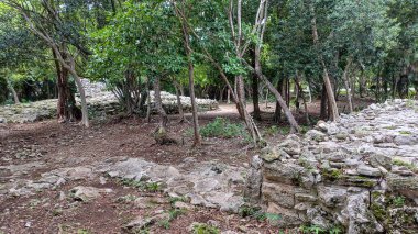 Playa del Carmen 'deki Maya harabelerine bakın.