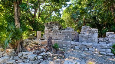 Playa del Carmen 'deki Maya harabelerine bakın.