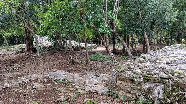 Playa del Carmen 'deki Maya harabelerine bakın.