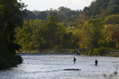 Toronto, ON, Kanada - 10 Ekim 2023: Humber Nehri 'nde bir sonbahar günü balıkçı