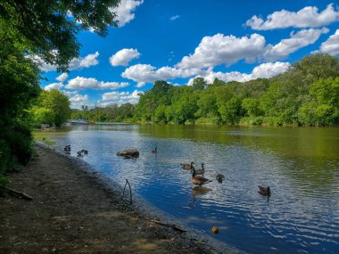 Yaz mevsimi boyunca Toronto, Kanada 'daki Humber Nehri' ne bakın.
