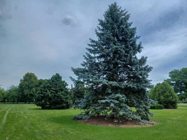 Niagara Şelalesi, On, Kanada - 4 Haziran 2024: Niagara Parks Botanik Bahçeleri manzarası