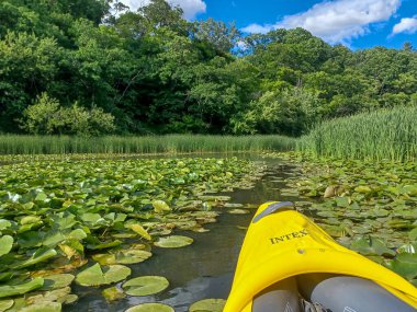 Etobikola, ON, Kanada - 20 Haziran 2024: Humber Nehri boyunca ilerleyen bir kanonun baş tarafı