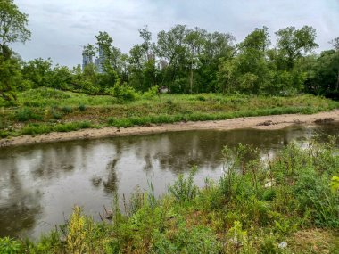 Yağmurlu bir günde küçük bir dere manzarası