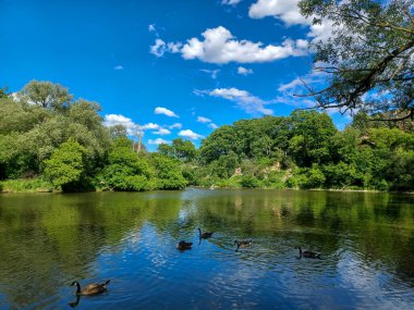 Yaz mevsimi boyunca Toronto, Kanada 'daki Humber Nehri' ne bakın.