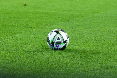 Toronto, ON, Kanada - 4 Ağustos 2024: Toronto FC (Kanada) - C.F. Pachuca (Meksika) BMO Sahasında (Toronto 2-1 kazandı)