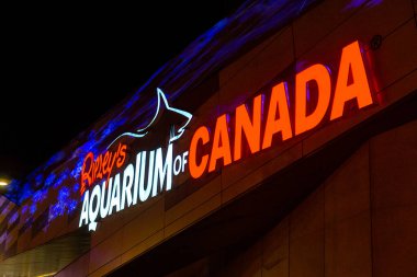 Toronto, ON, Kanada 1 Ağustos 2024: Tesla otomobil şirketi tabelasına bakın..