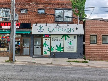 Toronto, ON, Kanada 1 Ağustos 2024: Tesla otomobil şirketi tabelasına bakın..