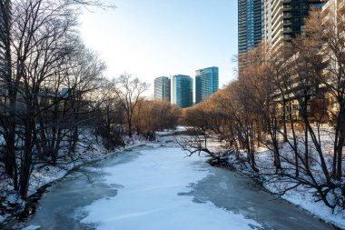 View at the Etobicoke creek in winter, near Toronto, Canada