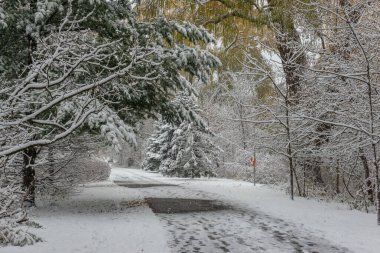 View at the trail in the park at winter time
