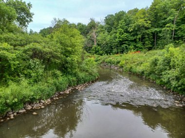 Yağmurlu bir günde küçük bir dere manzarası