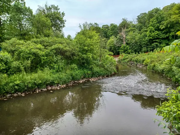 Yağmurlu bir günde küçük bir dere manzarası