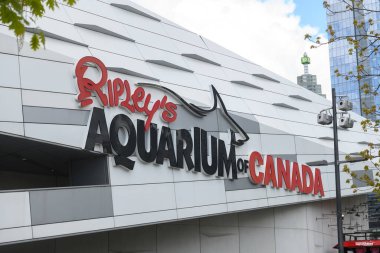 Toronto, ON, Kanada 1 Ağustos 2024 BMO Saha Spor Arenasının logosu ve markası..