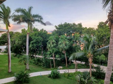 Playa del Carmen, Quintana Roo, Meksika - 20 Kasım 2024: Sonbahar sezonunda Barcelo Maya Oteli bölgesinde