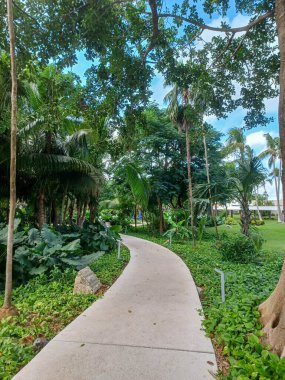 Playa del Carmen, Quintana Roo, Meksika - 20 Kasım 2024: Sonbahar sezonunda Barcelo Maya Oteli bölgesinde