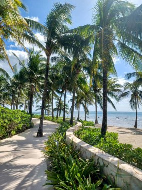 Playa del Carmen, Quintana Roo, Meksika - 20 Kasım 2024: Sonbahar sezonunda Barcelo Maya Oteli bölgesinde