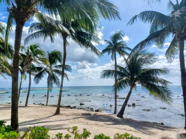 Playa del Carmen, Quintana Roo, Meksika - 20 Kasım 2024: Sonbahar sezonunda Barcelo Maya Oteli bölgesinde