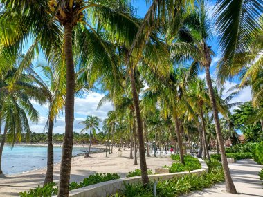 Playa del Carmen, Quintana Roo, Meksika - 20 Kasım 2024: Sonbahar sezonunda Barcelo Maya Oteli bölgesinde