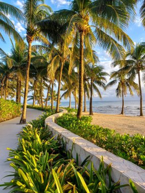 Playa del Carmen, Quintana Roo, Meksika - 20 Kasım 2024: Sonbahar sezonunda Barcelo Maya Oteli bölgesinde