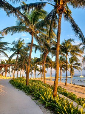 Playa del Carmen, Quintana Roo, Meksika - 20 Kasım 2024: Sonbahar sezonunda Barcelo Maya Oteli bölgesinde