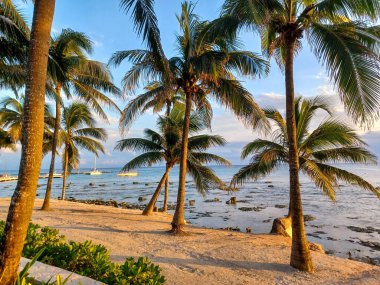 Playa del Carmen, Quintana Roo, Meksika - 20 Kasım 2024: Sonbahar sezonunda Barcelo Maya Oteli bölgesinde