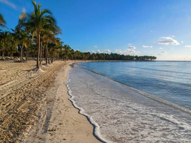 Quintana Roo, Meksika - 20 Kasım 2024 Playa del Car bölgesinde Playa del Carmen, Meksika