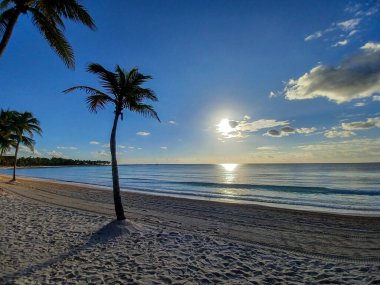 Quintana Roo, Meksika - 20 Kasım 2024 Playa del Car bölgesinde Playa del Carmen, Meksika