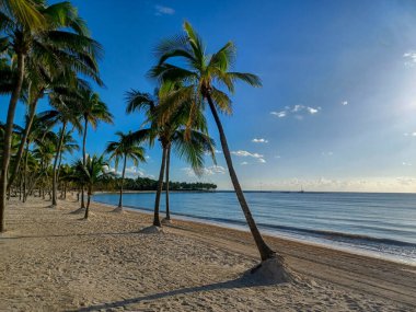 Quintana Roo, Meksika - 20 Kasım 2024 Playa del Car bölgesinde Playa del Carmen, Meksika