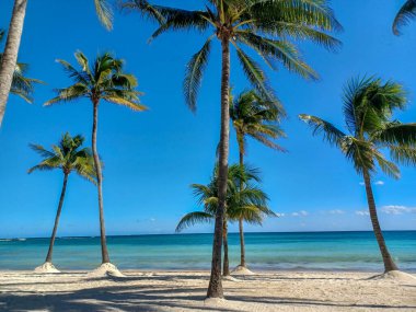 Quintana Roo, Meksika - 20 Kasım 2024 Playa del Car bölgesinde Playa del Carmen, Meksika