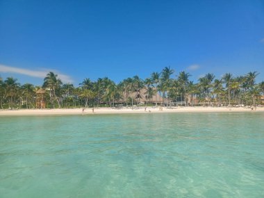 Quintana Roo, Meksika - 20 Kasım 2024 Playa del Car bölgesinde Playa del Carmen, Meksika