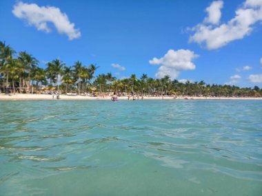 Quintana Roo, Meksika - 20 Kasım 2024 Playa del Car bölgesinde Playa del Carmen, Meksika