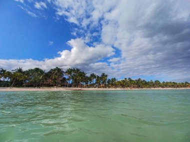 Quintana Roo, Meksika - 20 Kasım 2024 Playa del Car bölgesinde Playa del Carmen, Meksika