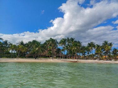 Quintana Roo, Meksika - 20 Kasım 2024 Playa del Car bölgesinde Playa del Carmen, Meksika
