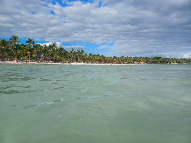 Quintana Roo, Meksika - 20 Kasım 2024 Playa del Car bölgesinde Playa del Carmen, Meksika
