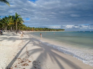 Quintana Roo, Meksika - 20 Kasım 2024 Playa del Car bölgesinde Playa del Carmen, Meksika