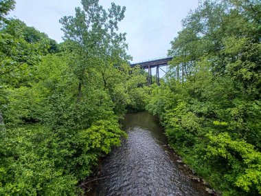 Yağmurlu bir günde küçük bir dere manzarası