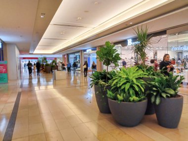 Toronto, On, Kanada - 21 Kasım 2024: CF Sherway Gardens alışveriş merkezinin iç görünümü.
