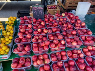 Toronto, On, Kanada - 30 Ağustos 2024: Çiftçi Steet Pazarı.