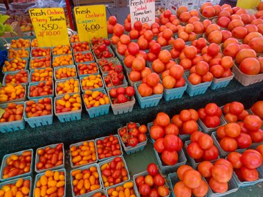 Toronto, On, Kanada - 30 Ağustos 2024: Çiftçi Steet Pazarı.