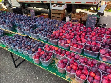 Toronto, On, Kanada - 30 Ağustos 2024: Çiftçi Steet Pazarı.