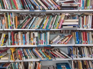 Toronto, On, Kanada - 27 Kasım 2024: Value Village ikinci el mağazasındaki kitap bölümüne bakın.