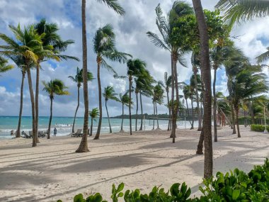 Playa del Carmen, Quintana Roo, Meksika - 20 Kasım 2024: Sonbahar sezonunda Barcelo Maya Oteli bölgesinde