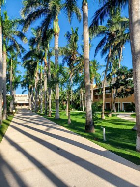 Playa del Carmen, Quintana Roo, Meksika - 20 Kasım 2024: Sonbahar sezonunda Barcelo Maya Oteli bölgesinde